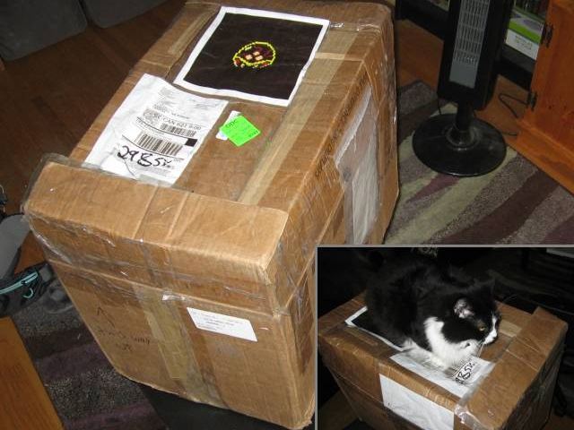 The cardboard box, that has a printout of a metroid taped to it, sitting in Kabutroid's living room. The sidecut is a picture of our cat Nikita sitting on the box.