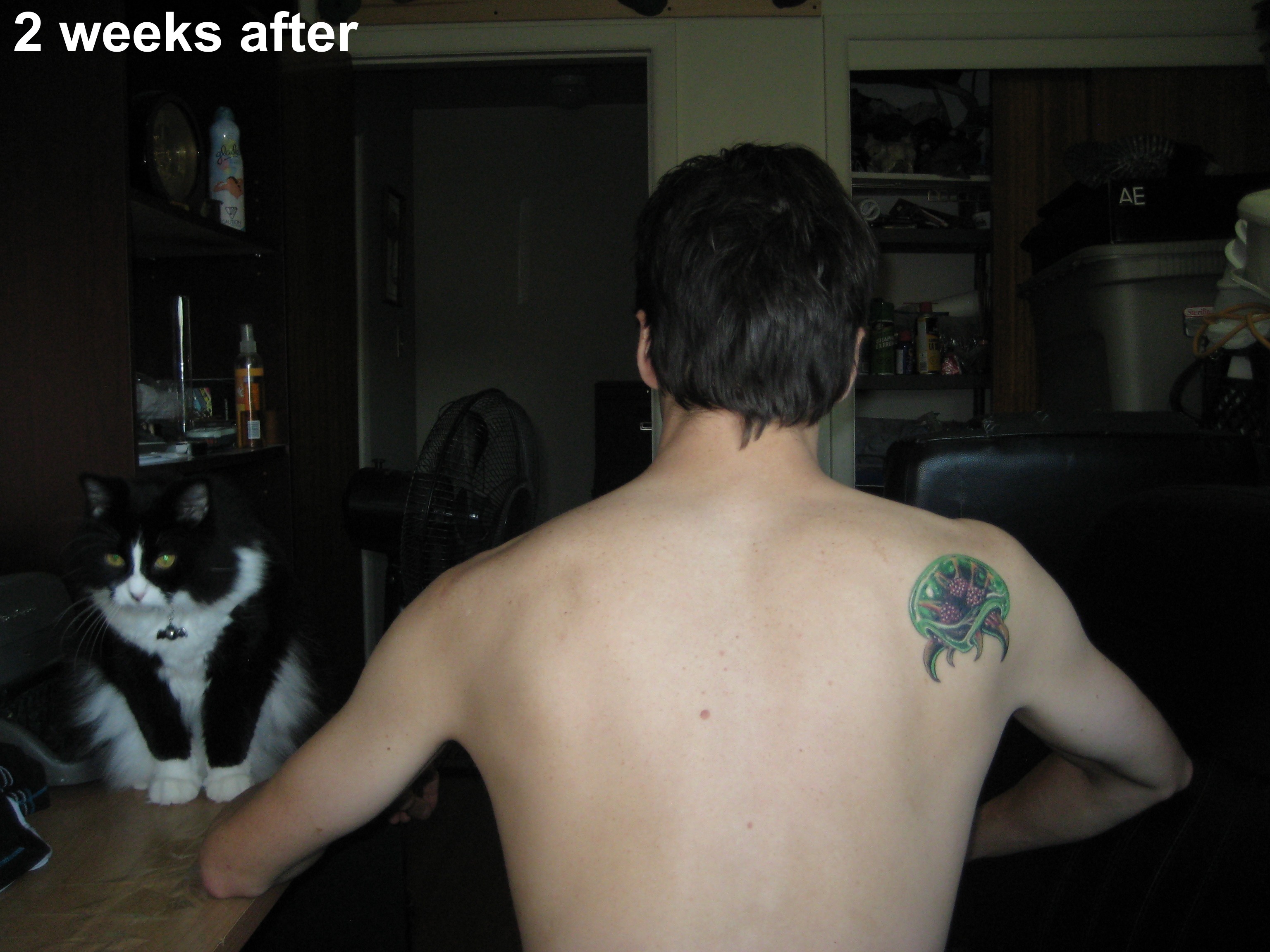 Two weeks after, with the cat beside her, and the Metroid looking healed