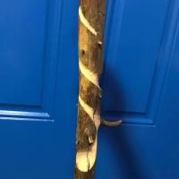 The carved side of a dark brown staff, laying against a blue door.