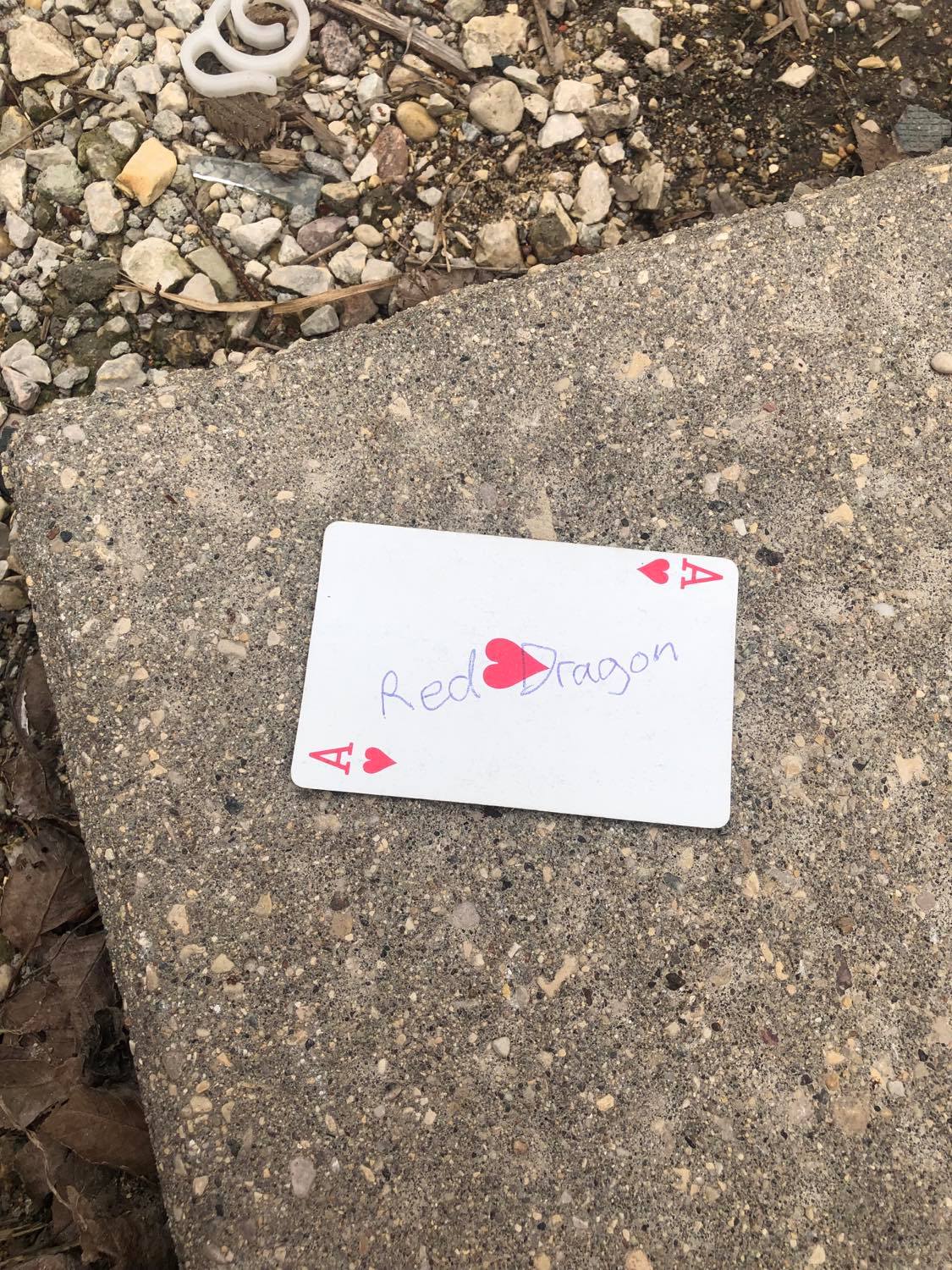 The ace of hearts, laying on the ground before the creature.