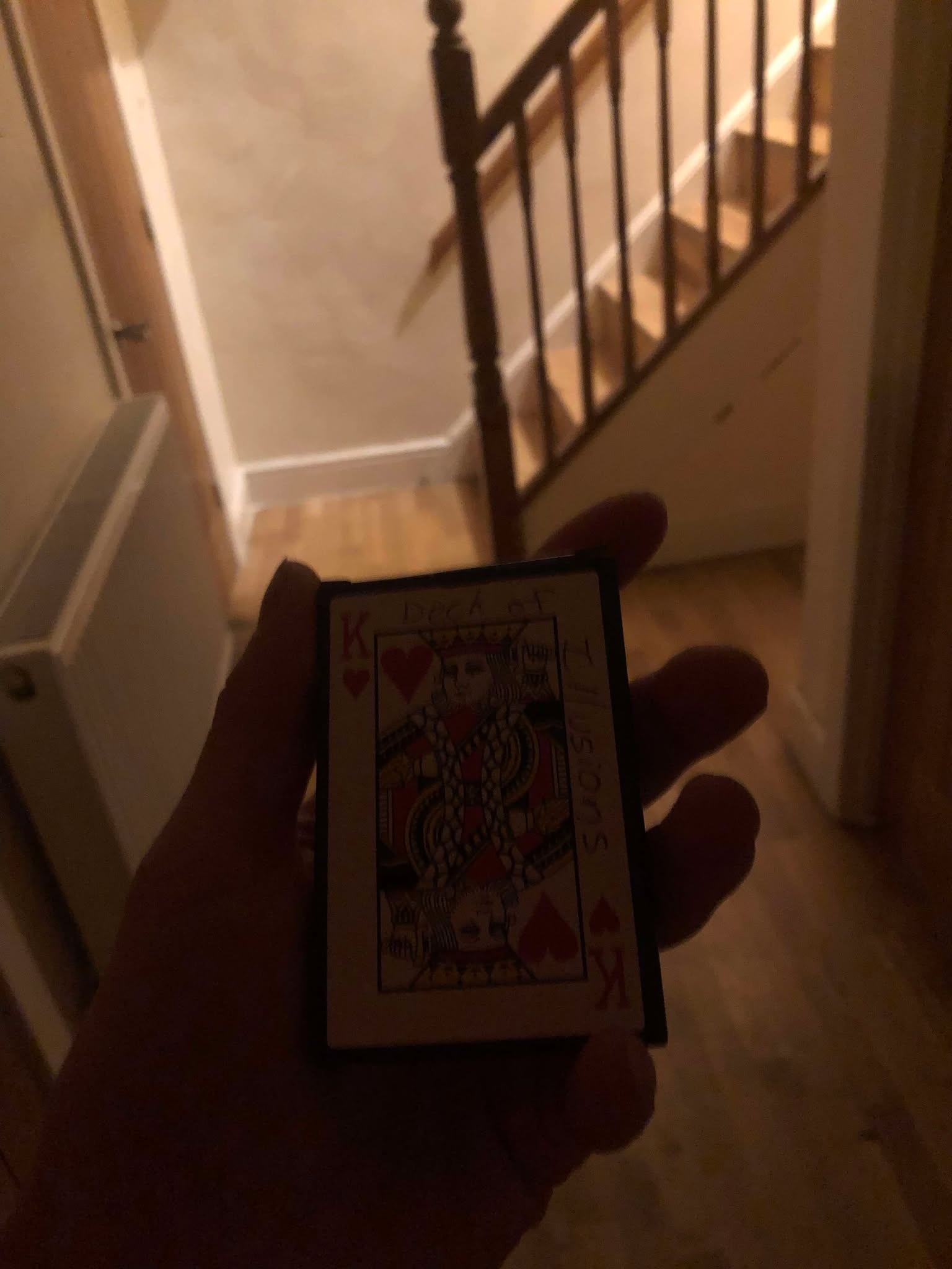 You back away from the hallway, and pull out your deck of illusions, hoping to distract the monster so that you can run past.