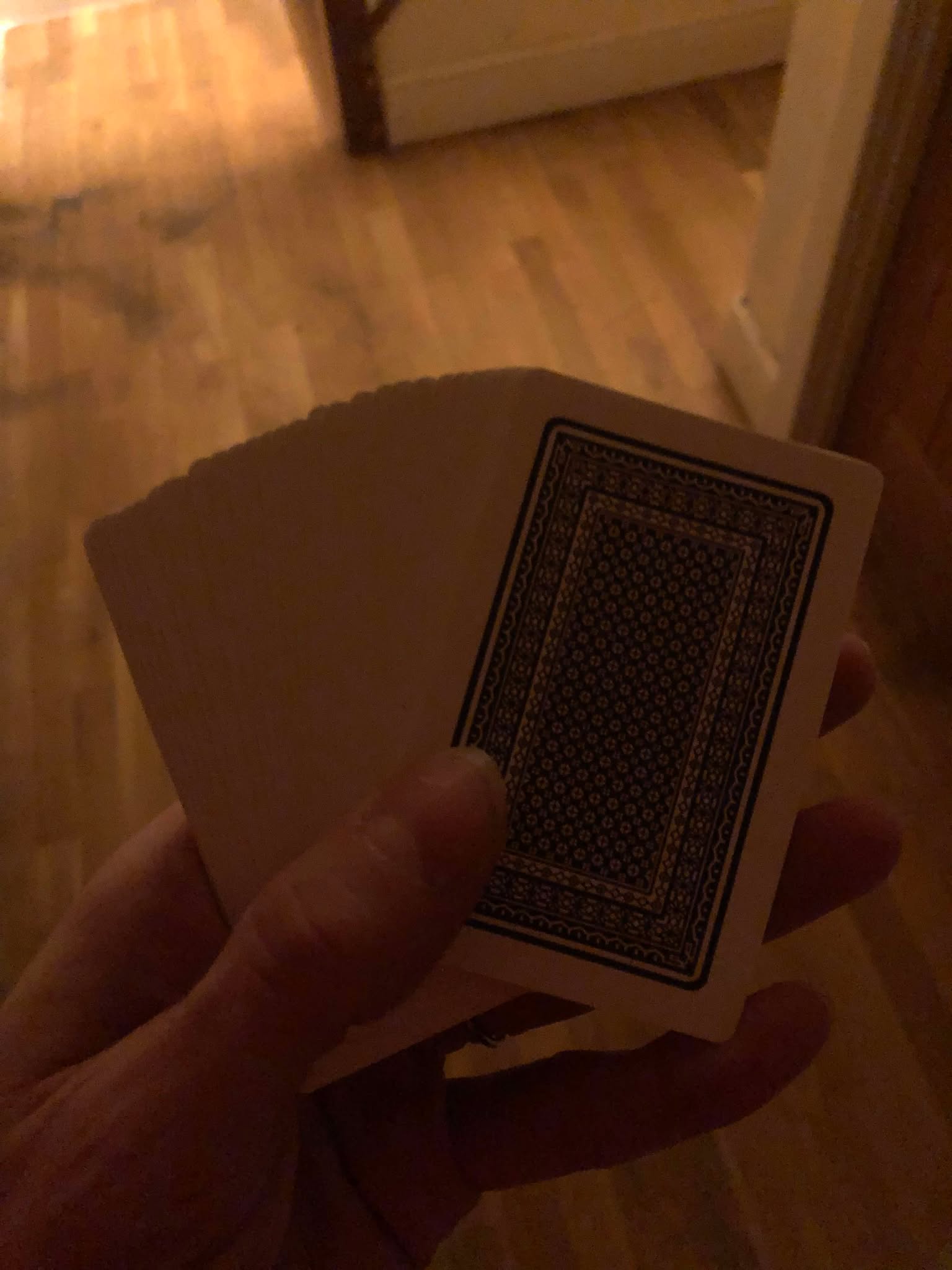 The cards spread out in your hand, you prepare to draw a card to throw to the ground to summon the illusion of a creature to distract the lurking ogre.