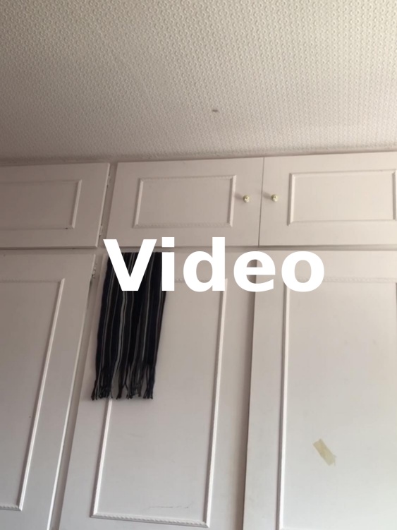 A screenshot from the video a little to the left of the first fly, and moving back and forth between the two, showing them both floating near the ceiling of the room, occasionally dancing with eachother in the middle.