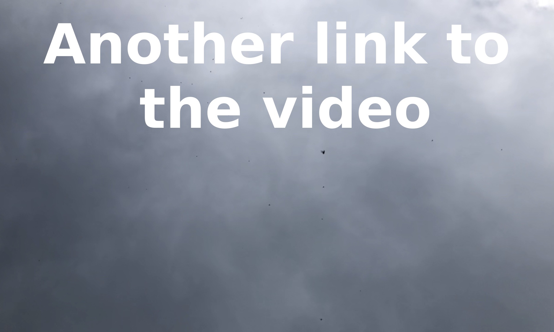 A similar pic, but with a particularly noticeable closeup fly for this pic, it was blurry but, there is text that says 'another link to the video', so this image can't be zoomed in on since it's a link, and the fly is just noticeable for the thumbnail to the video.