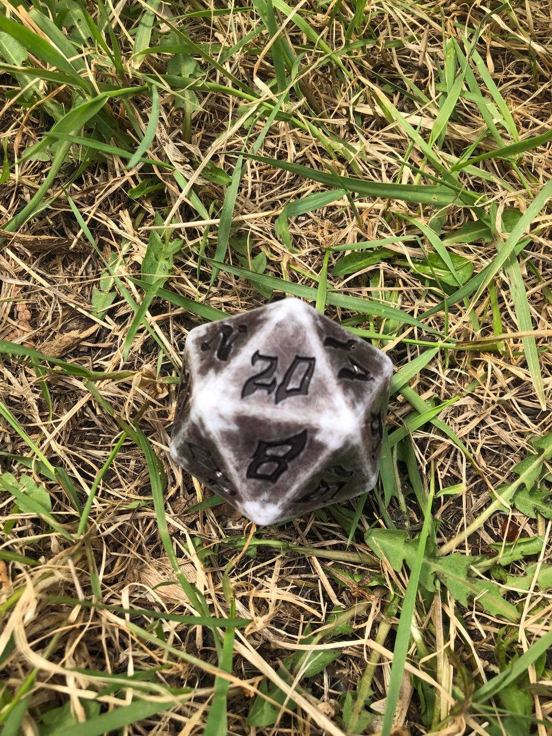 The giant dice, dark grey to light grey edges, somewhat mottled, with the 20 facing up, and it's sitting in the spring grass.