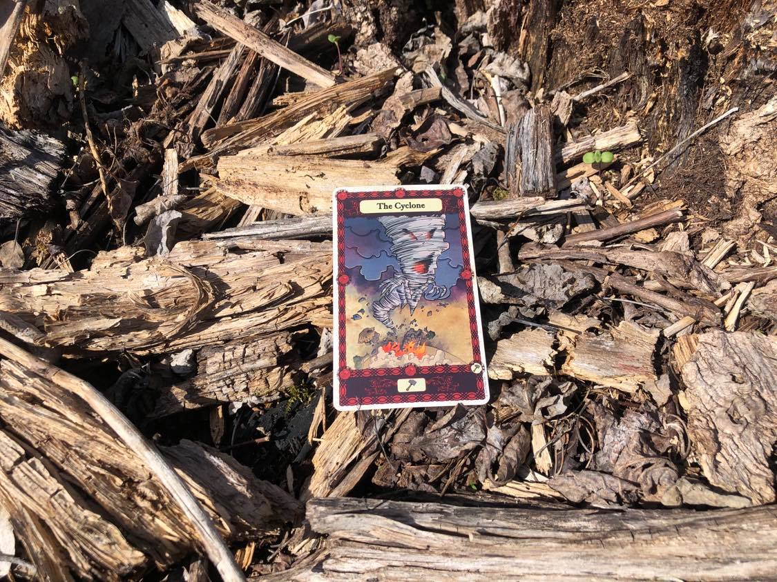 A tornado with fists, the card laying on the forest debris.