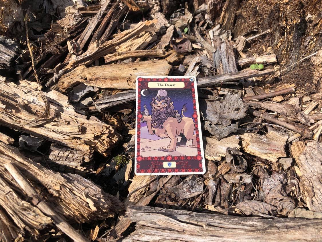 A sphynx holding a person, the card laying on the forest debris.