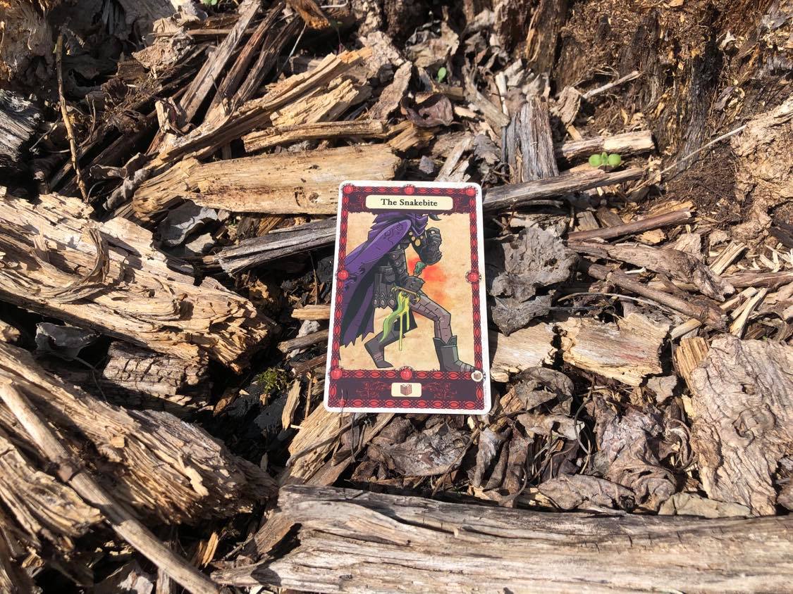 A thief holding a poisoined blade, the card laying on the forest debris.