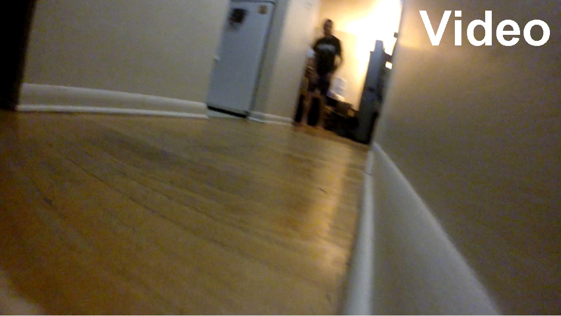 A frame of a video, of a gopro attached to Jack's collar. Kabutroid turns the gopro on, and then you see the cat walk down the hallway, into the kitchen, and then back to Kabutroid now in the couch, where she takes it and turns it off. A bit of clacking, as the gopro touched the ground.
