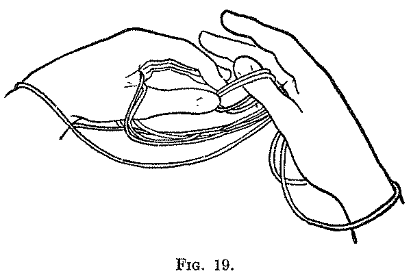 Fig. 19