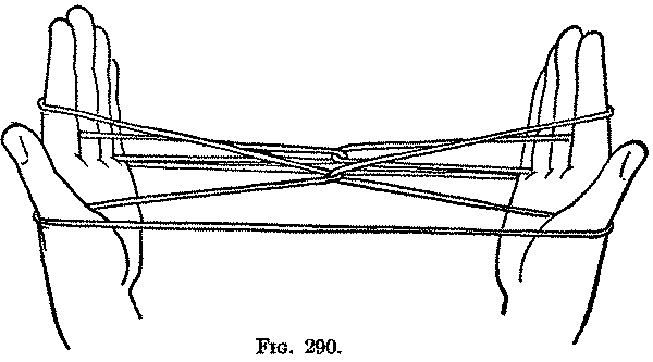 Fig. 290