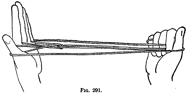 Fig. 291