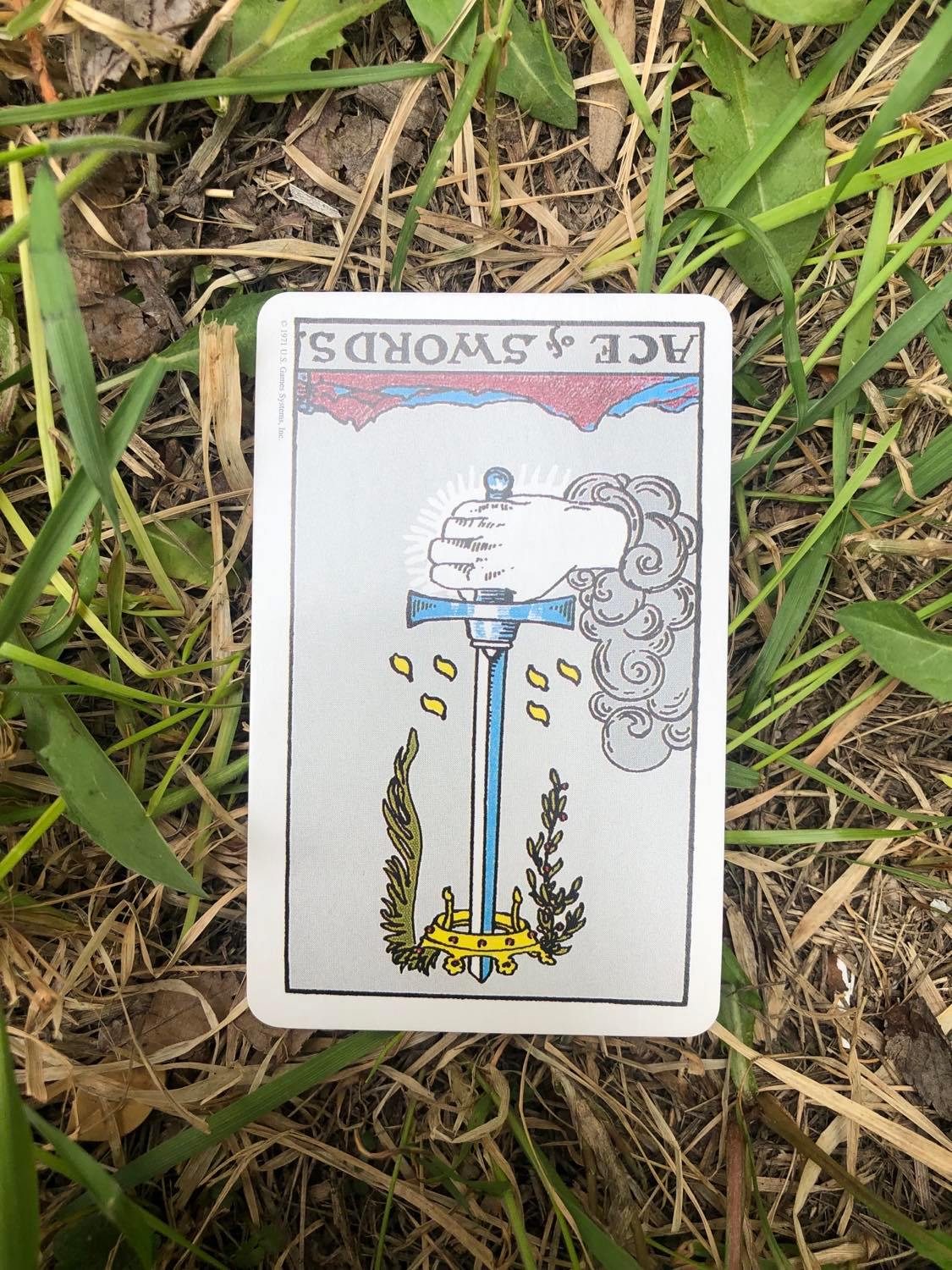The Ace of Swords, inverted, laying in the grass.