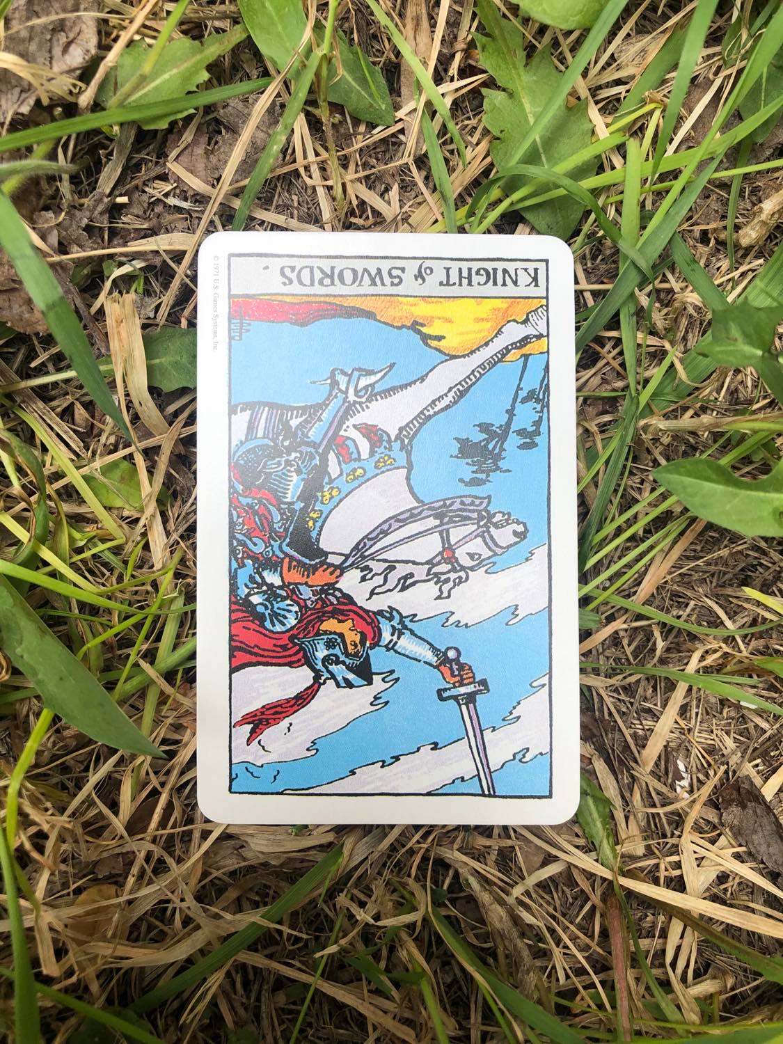 The Knight of Swords, inverted, laying in the grass.