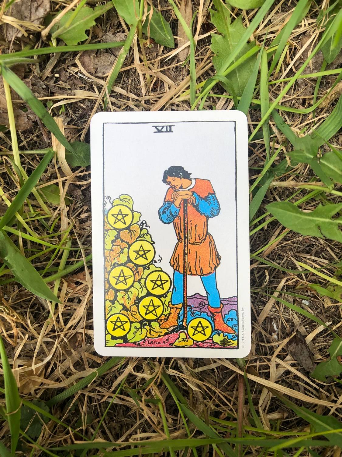 The Seven of Pentacles, upright, laying in the grass.
