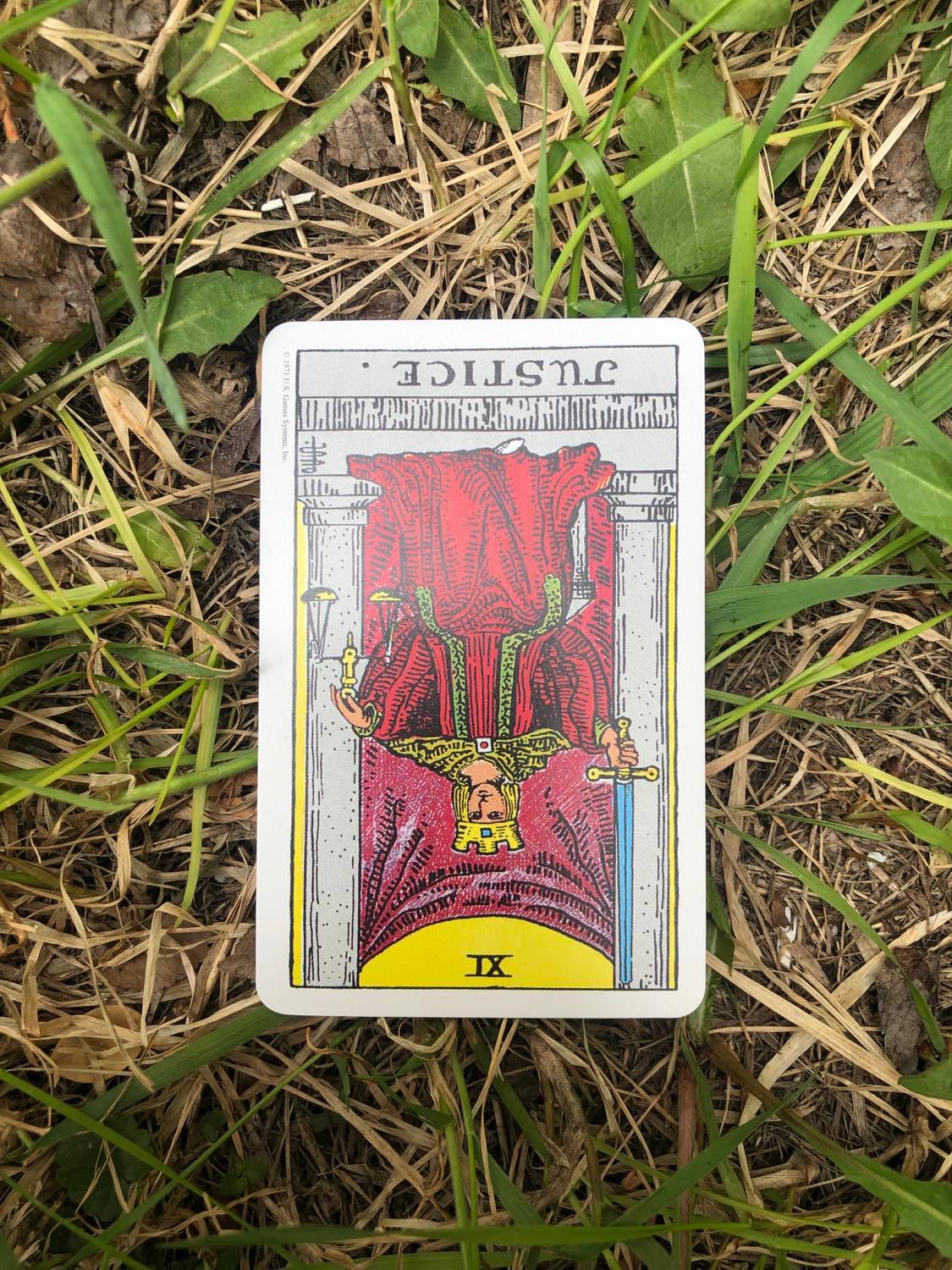 Justice, inverted, laying in the grass.