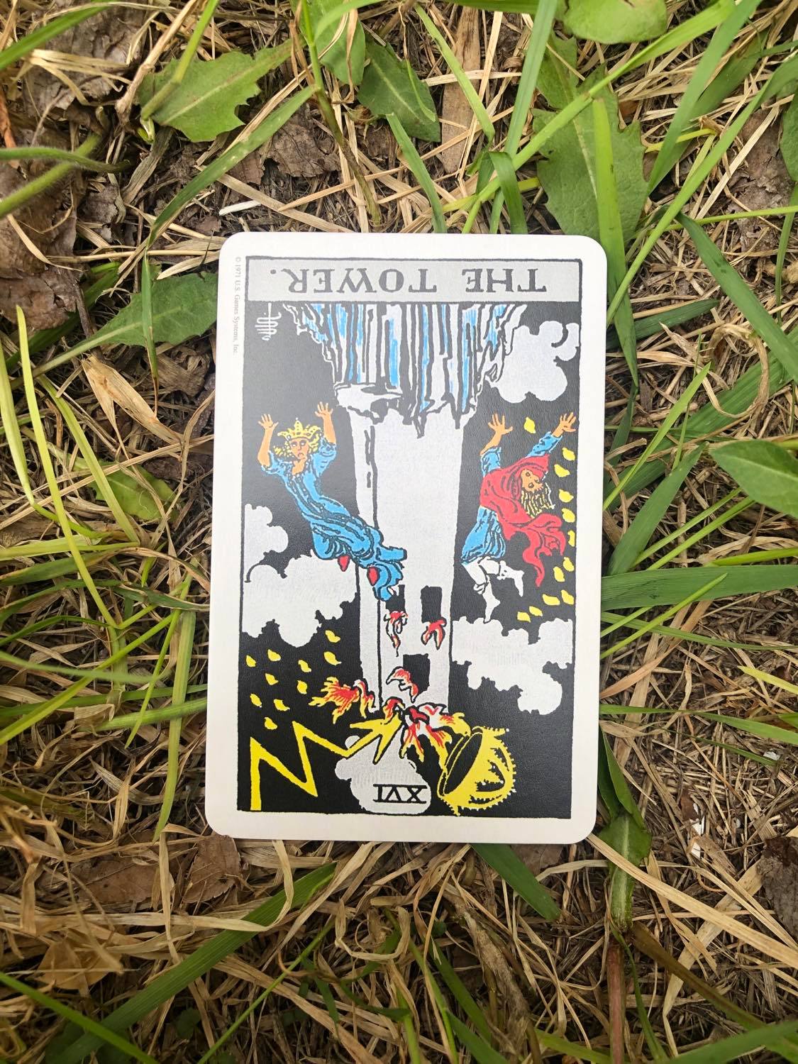 The Tower, inverted, laying in the grass.