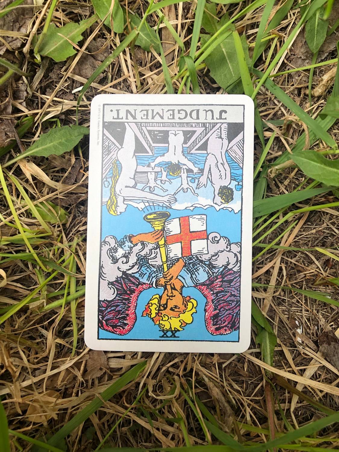Judgement, inverted, laying in the grass.