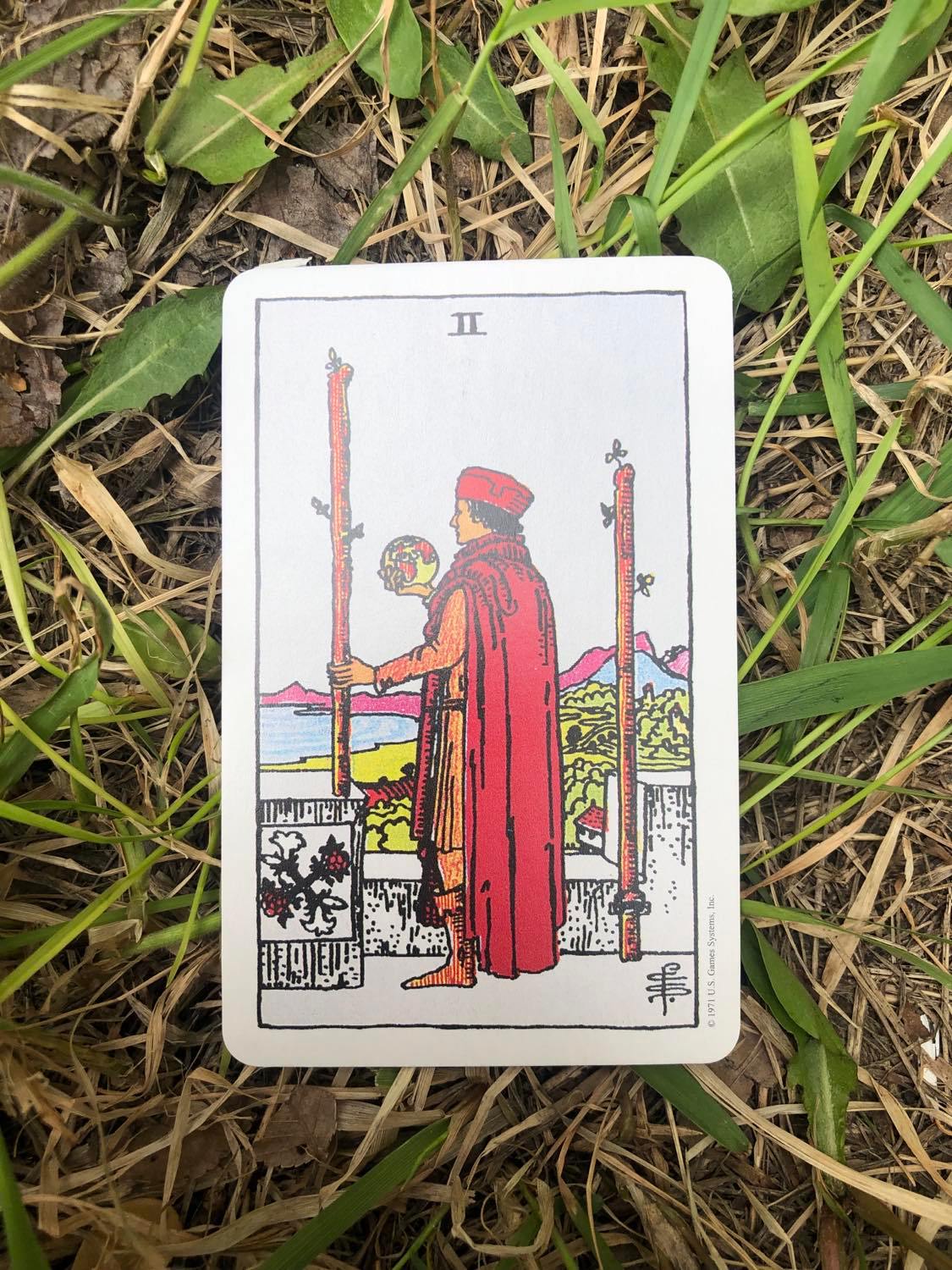 The Two of Wands, upright, laying in the grass.
