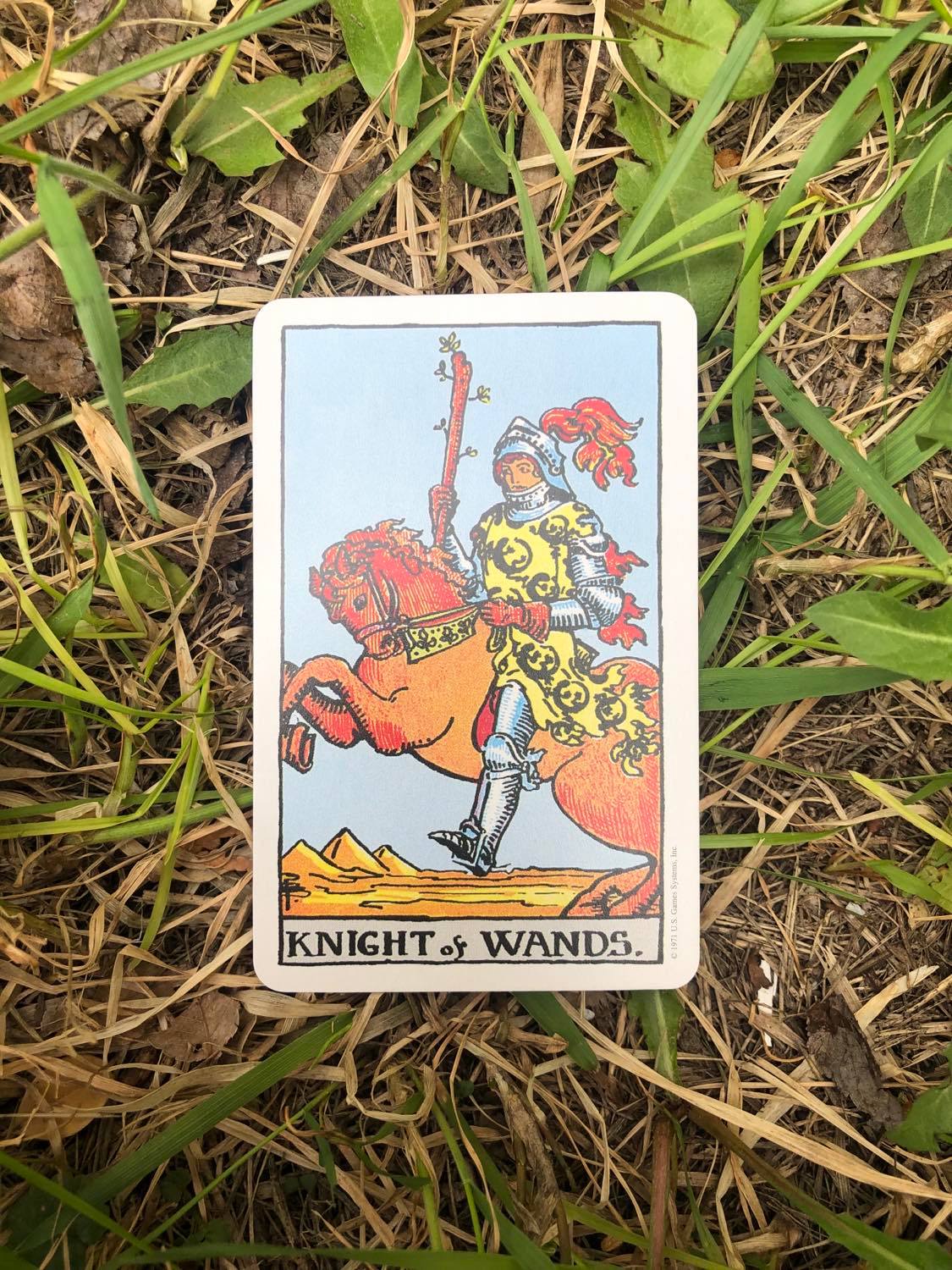 The Knight of Wands, upright, laying in the grass.