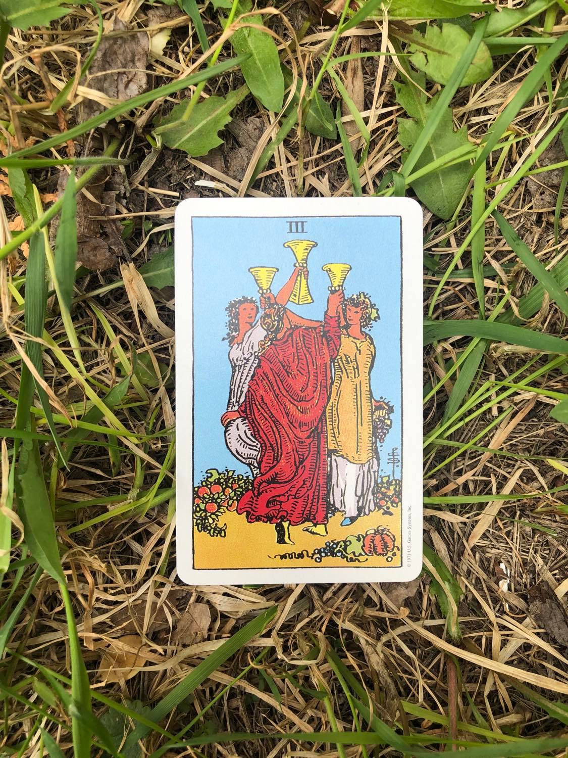 The Three of Cups, upright, laying in the grass.