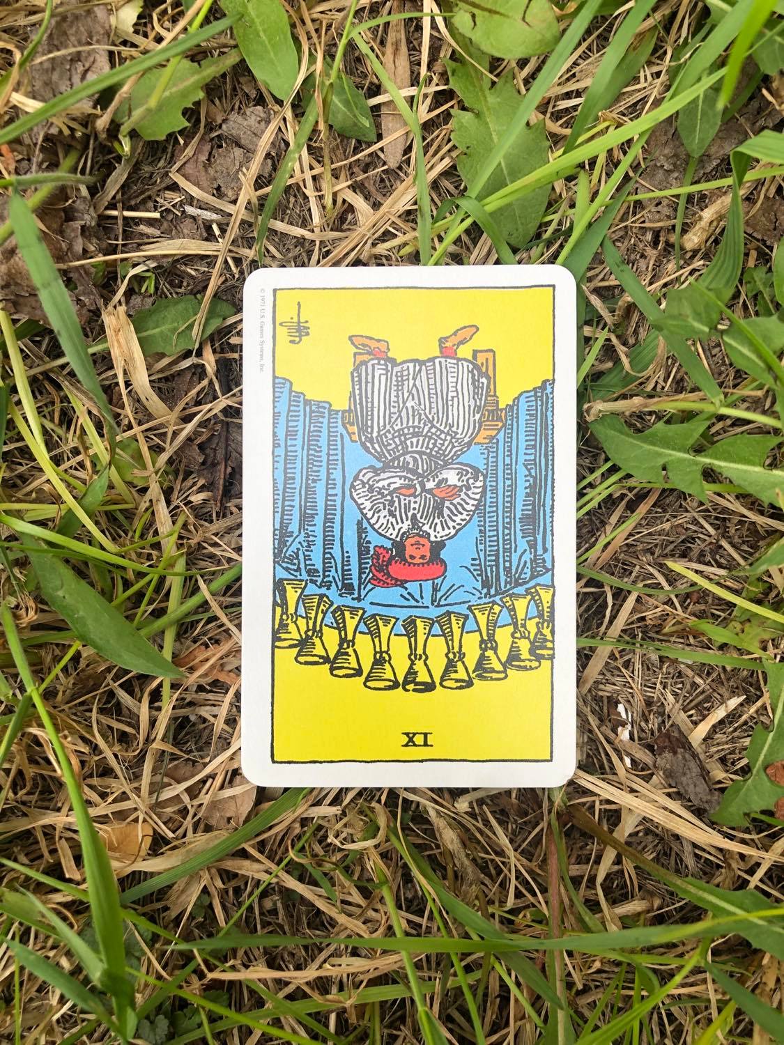 The Nine of Cups, inverted, laying in the grass.
