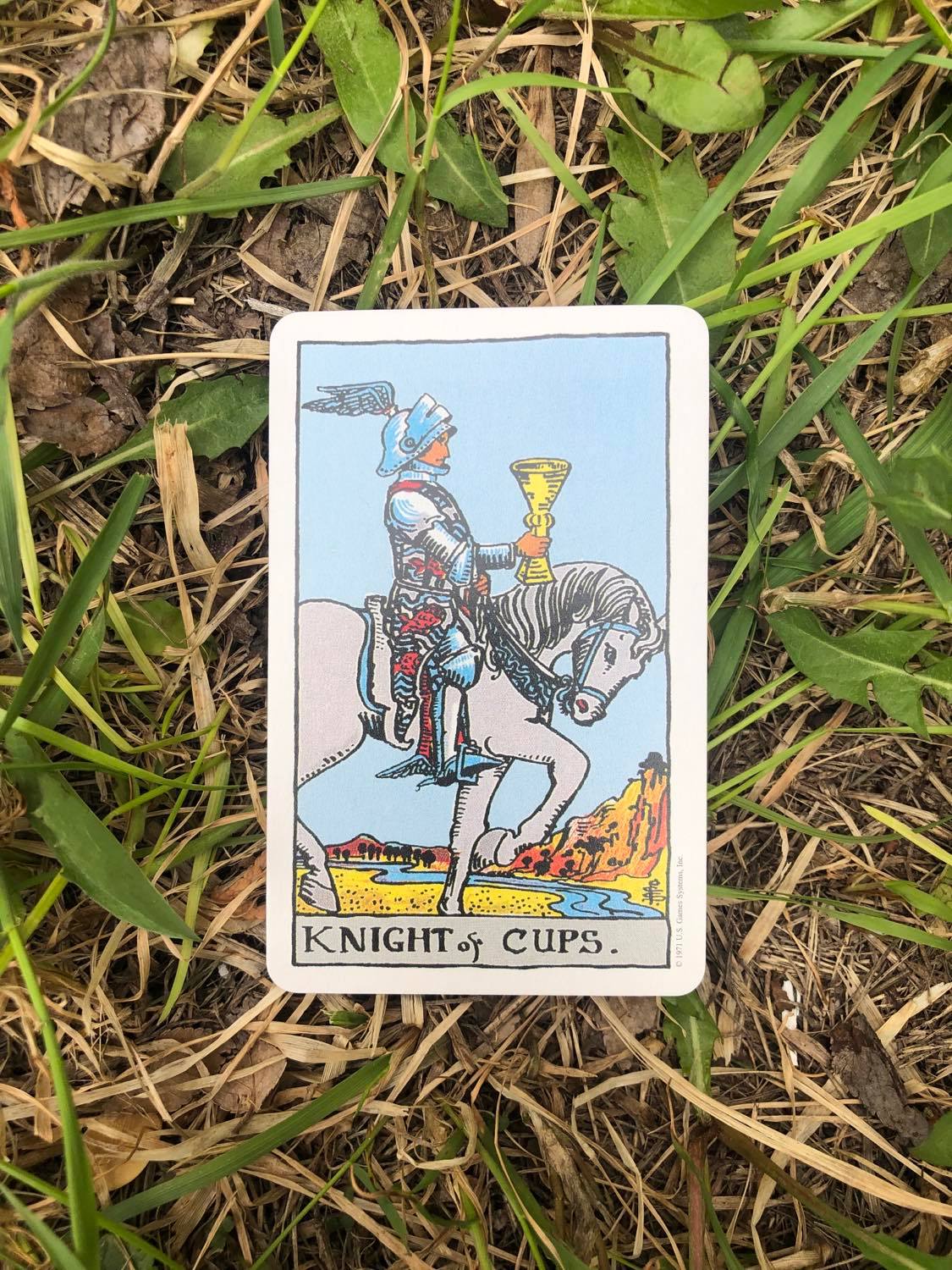 The Knight of Cups, upright, laying in the grass.