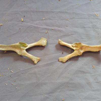 A pair of animal bone spirits