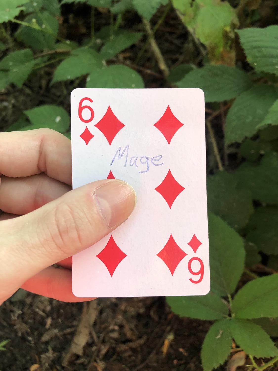The six of diamonds with the word Mage written on it, held above the brush.