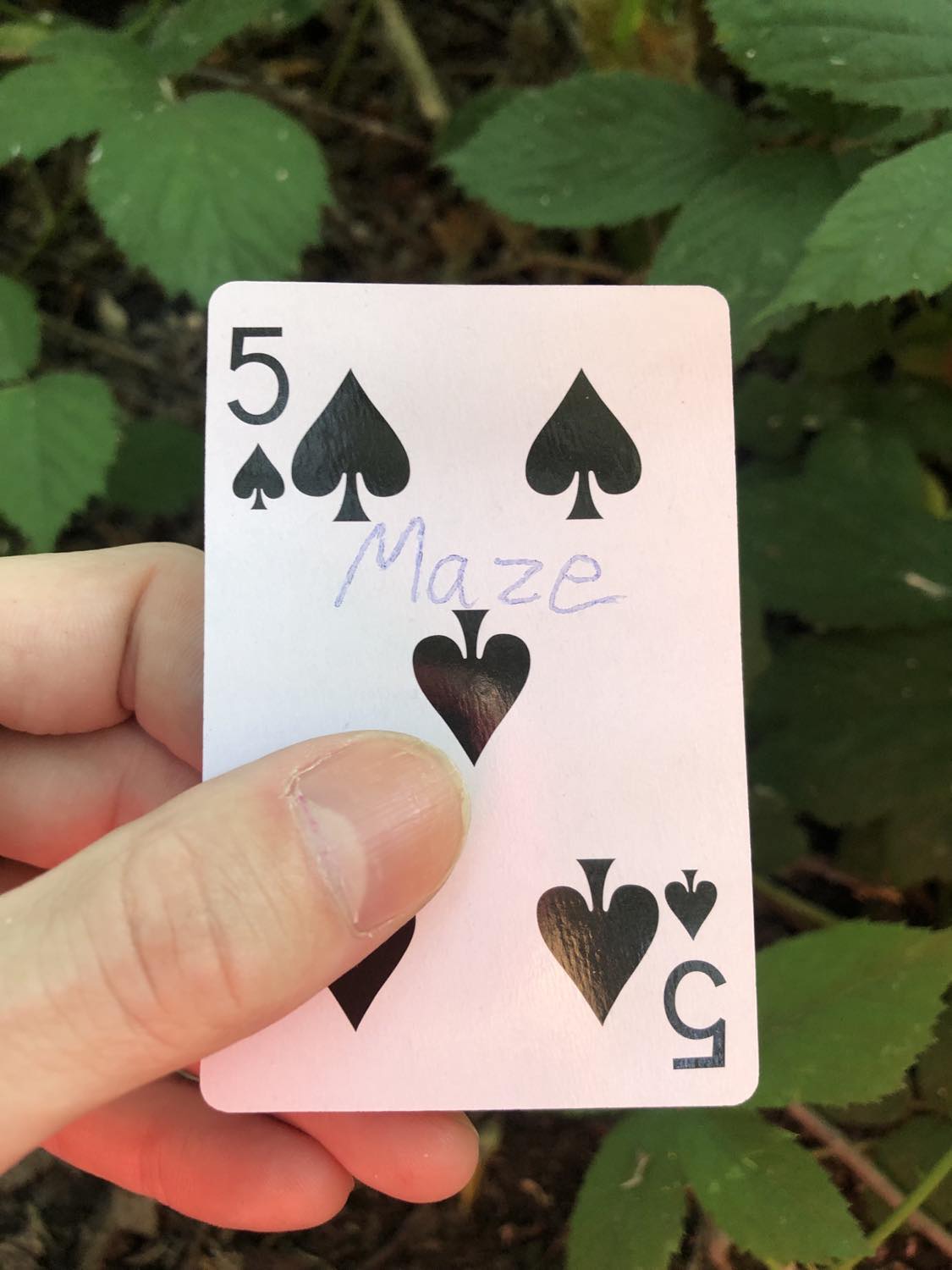 The five of spades with the word Maze written on it, held above the brush.