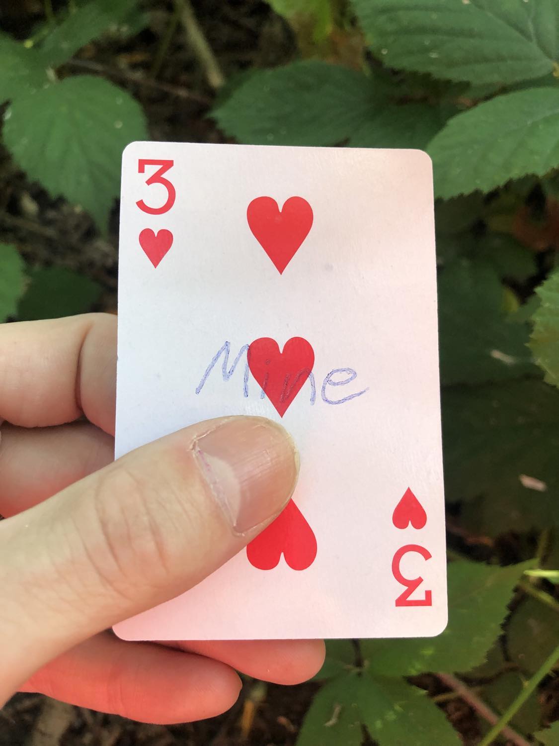 The three of hearts with the word Mine written on it, held above the brush.