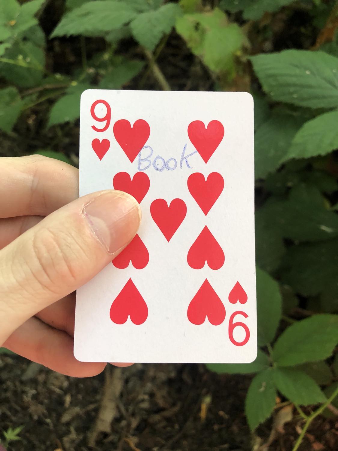 The nine of hearts with the word Book written on it, held above the brush.