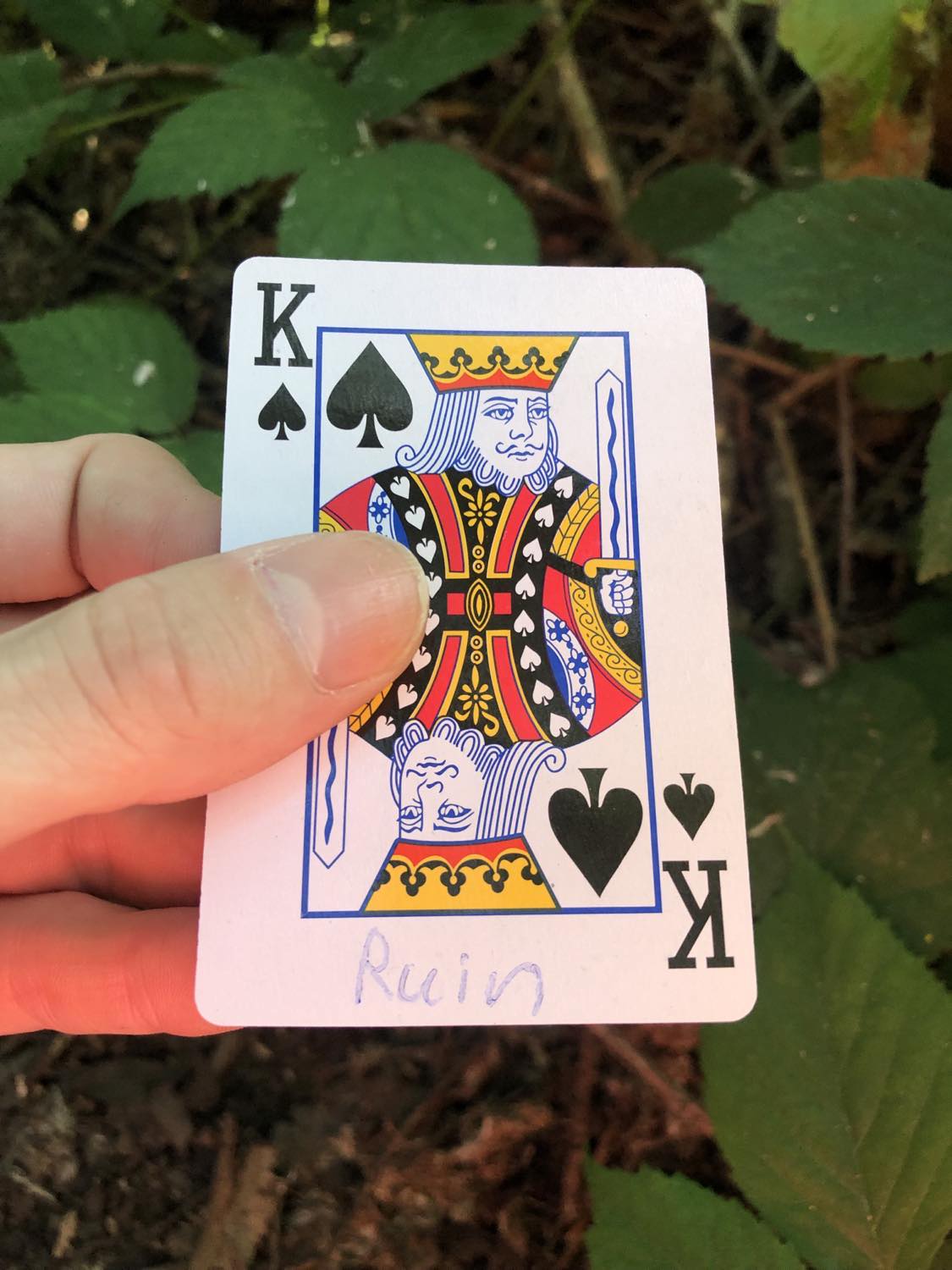 The king of spades with the word Ruin written on it, held above the brush.