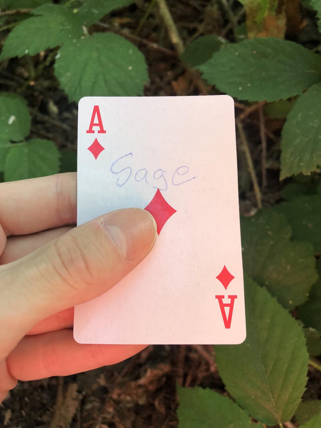 The ace of diamonds with the word Sage written on it, held above the brush.