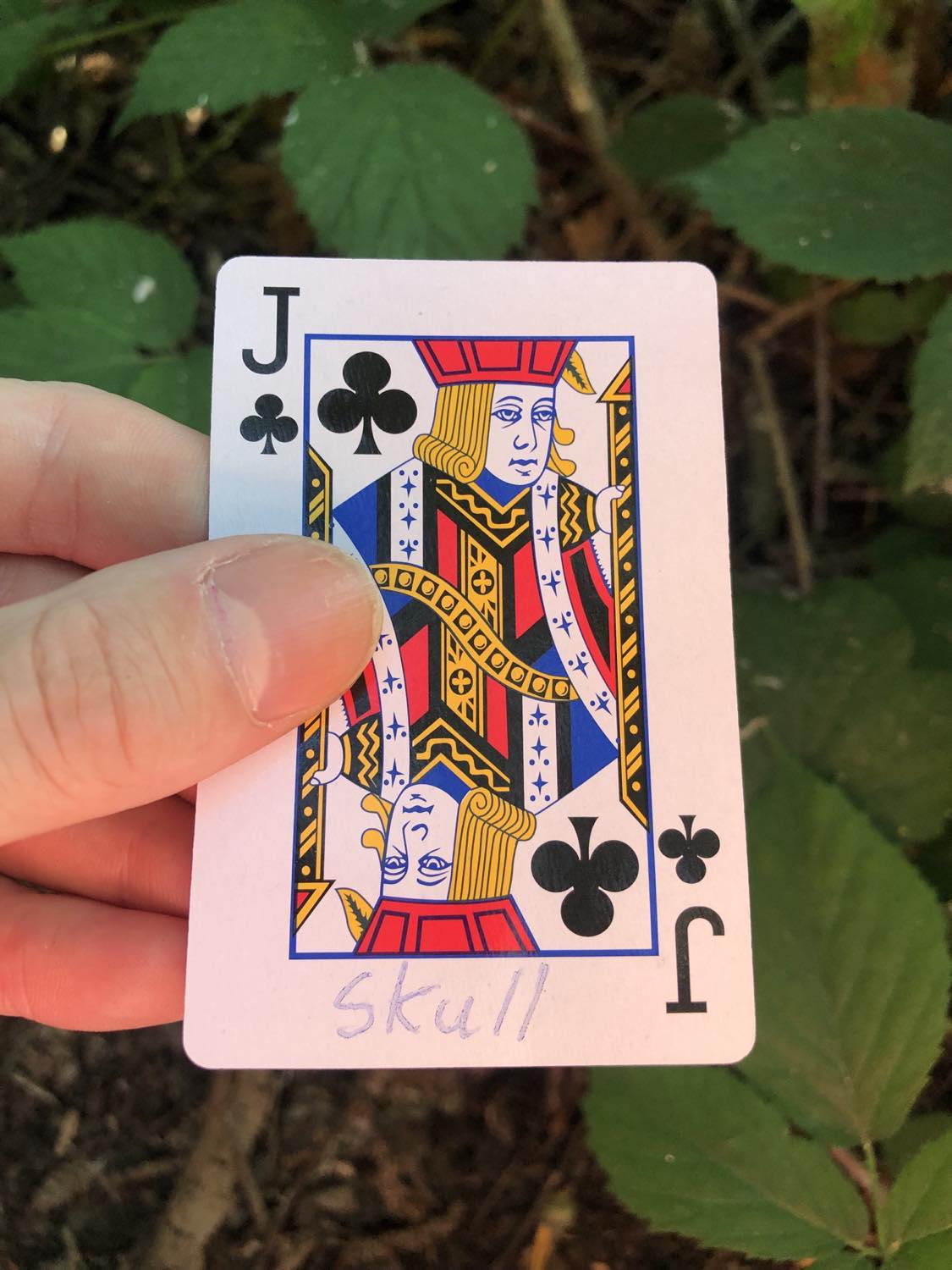 The jack of clubs with the word Skull written on it, held above the brush.