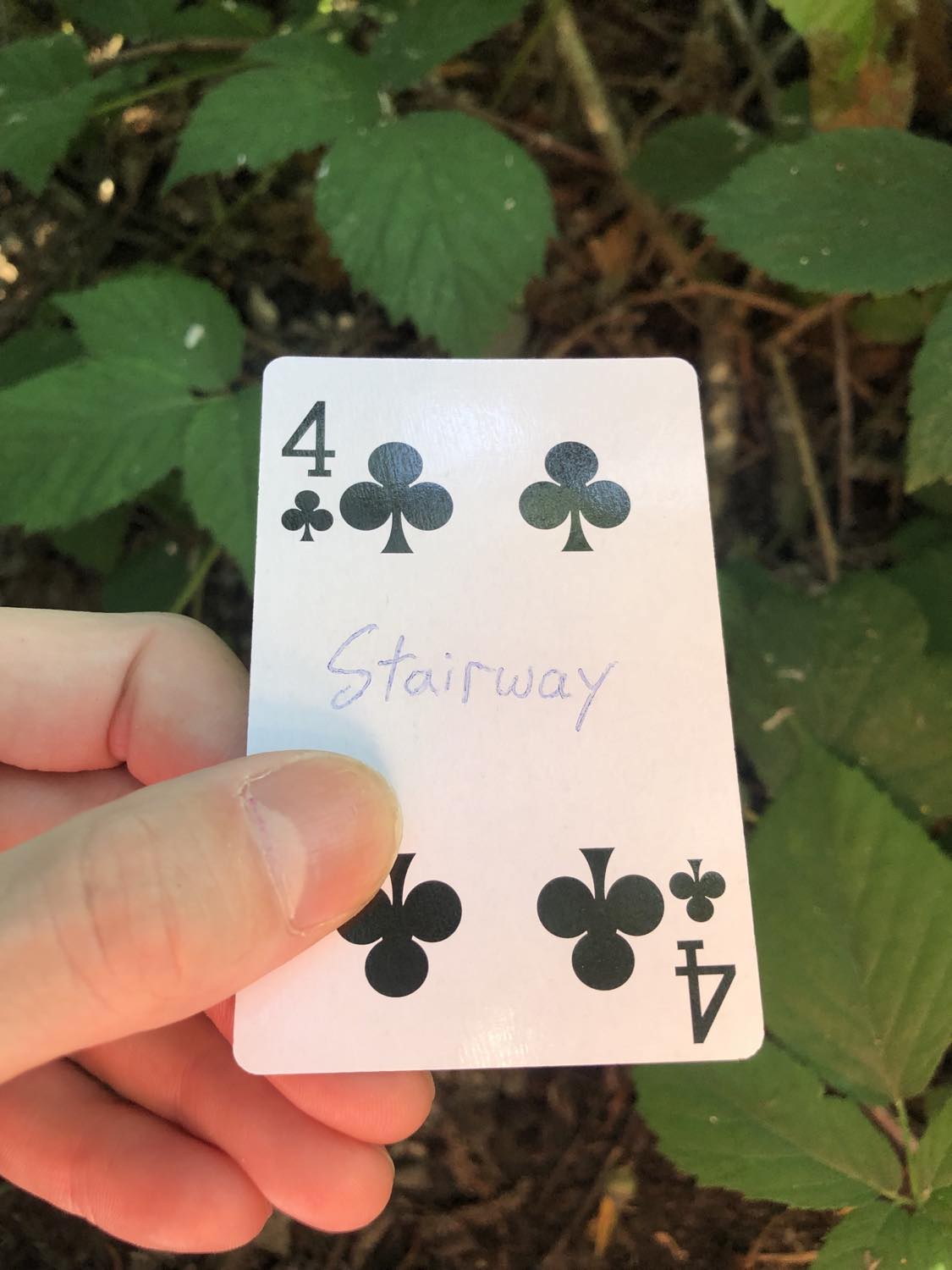 The four of clubs with the word Stairway written on it, held above the brush.
