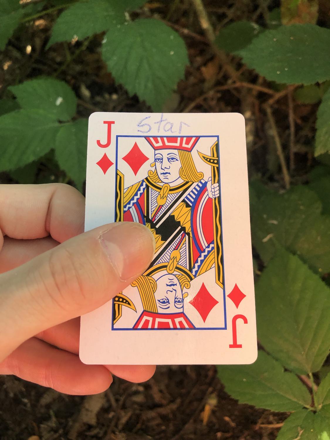 The jack of diamonds with the word Star written on it, held above the brush.