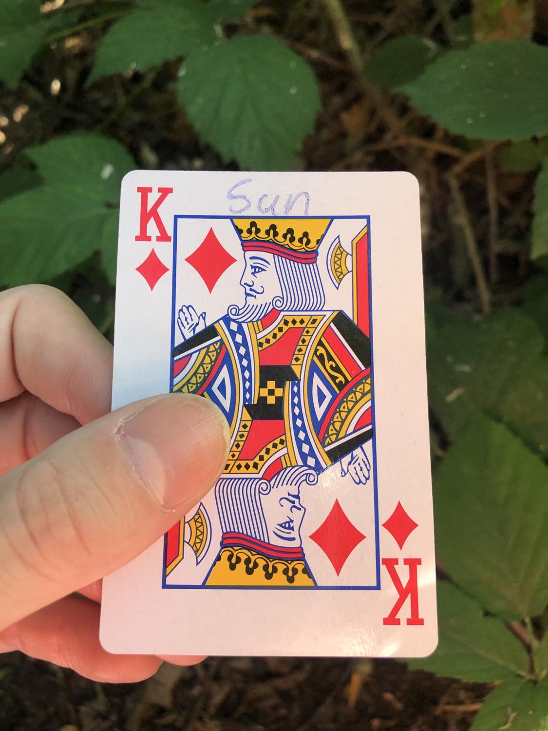 The king of diamonds with the word Sun written on it, held above the brush.