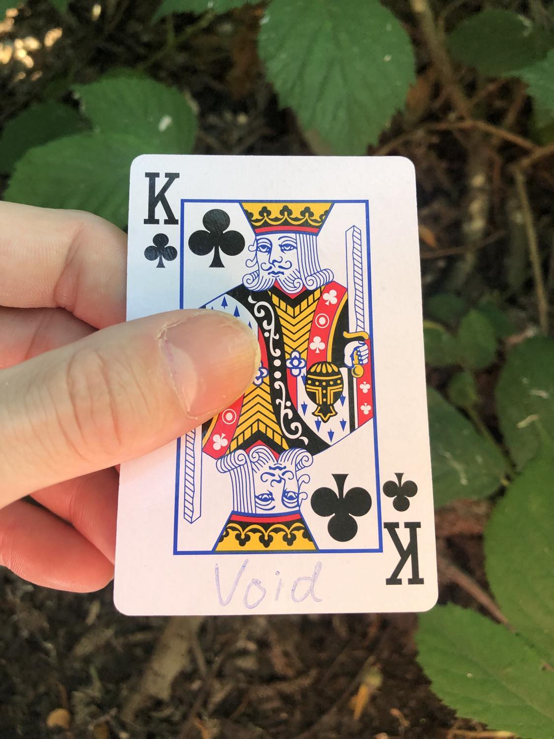 The king of clubs with the word void written on it, held above the brush.