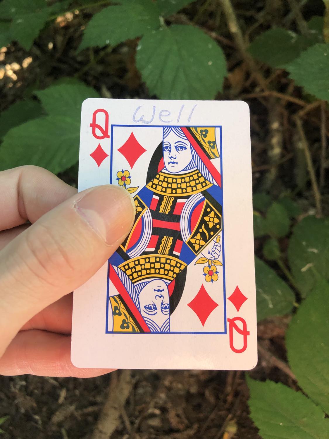 The queen of diamonds with the word Well written on it, held above the brush.