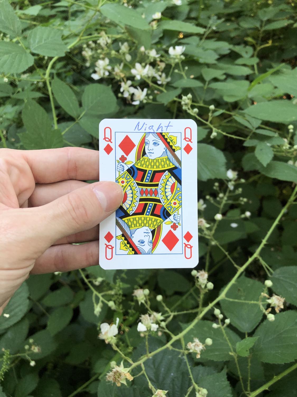 The queen of diamonds with the word Night written on it, held above the flowers.