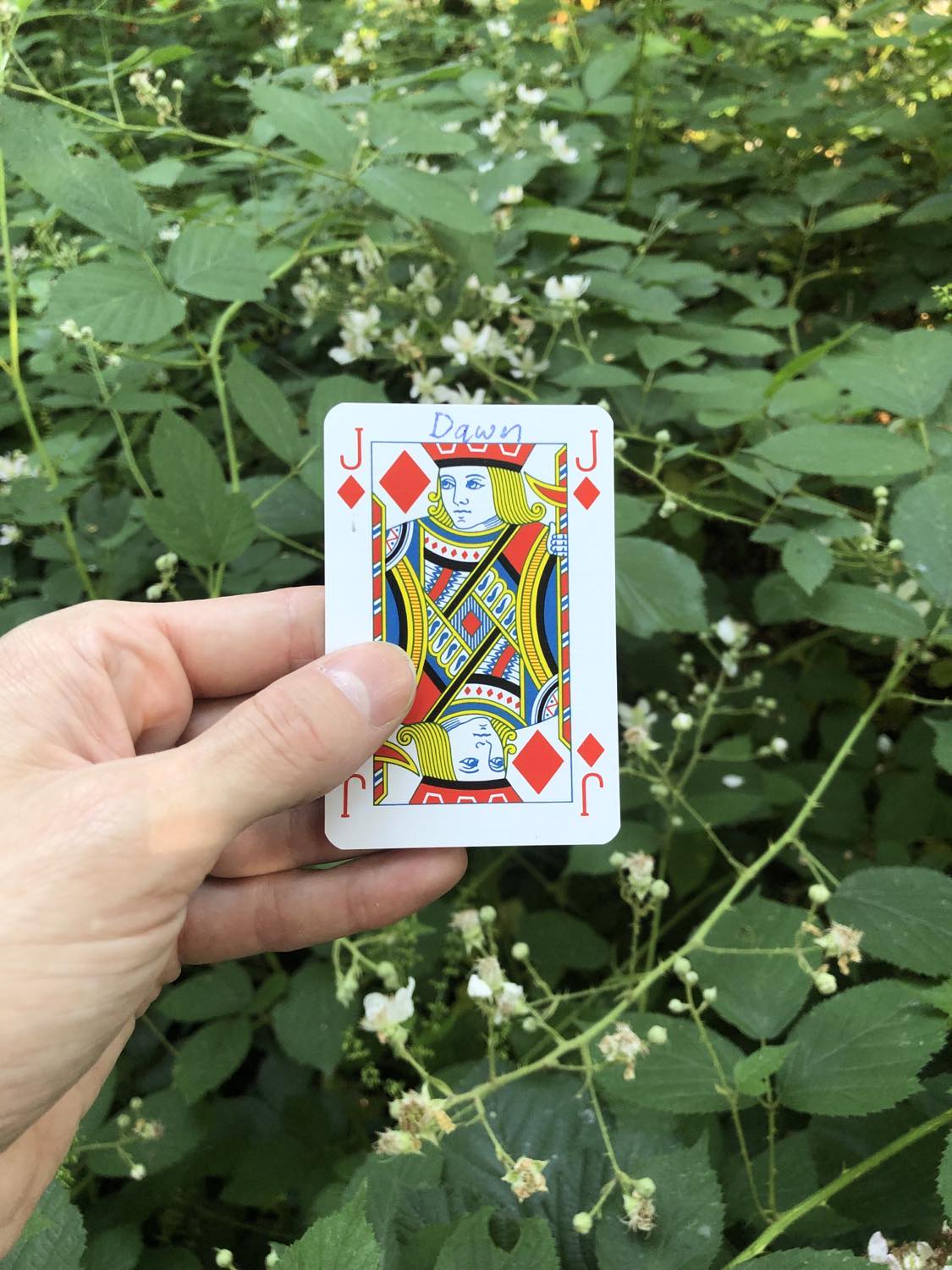 The jack of diamonds with the word Dawn written on it, held above the flowers.