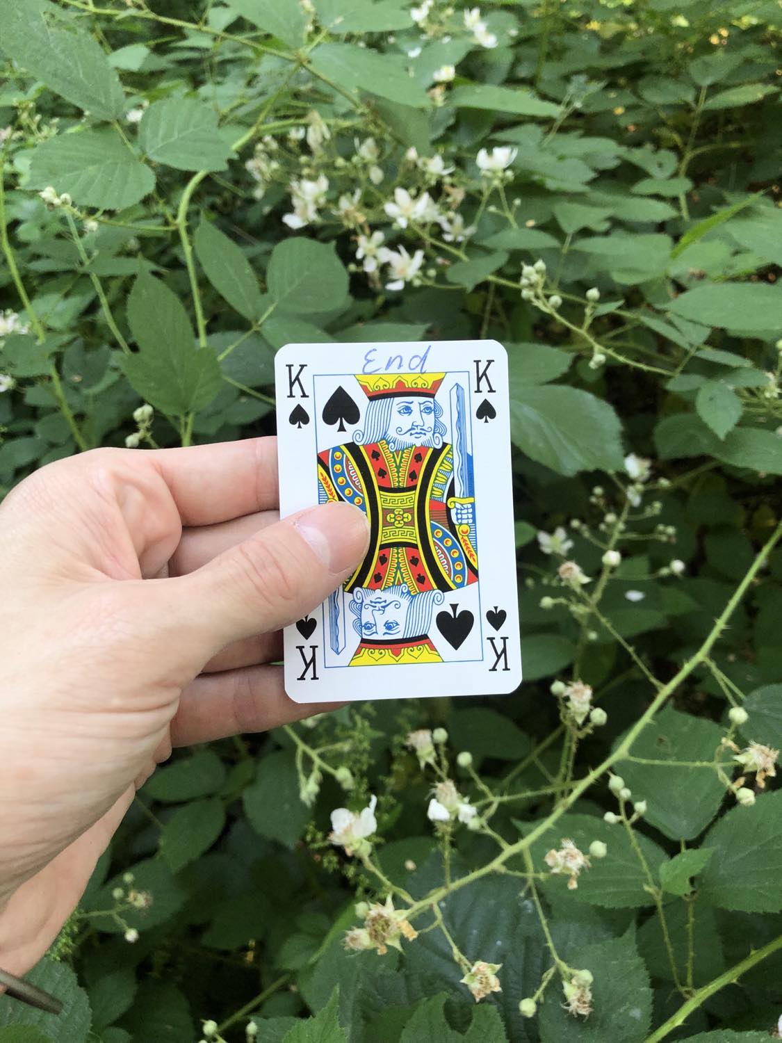 The king of spades with the word End written on it, held above the flowers.