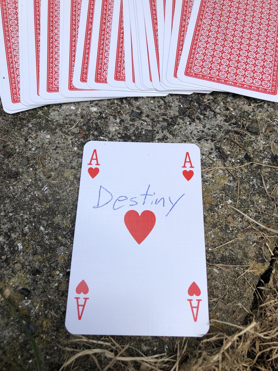 The ace of hearts with the word Destiny written on it, laying on the bridge support.
