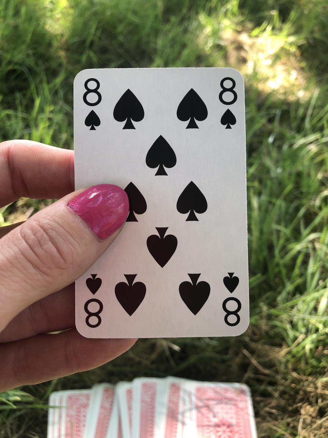 The eight of spades, held up from the drawn out cards.