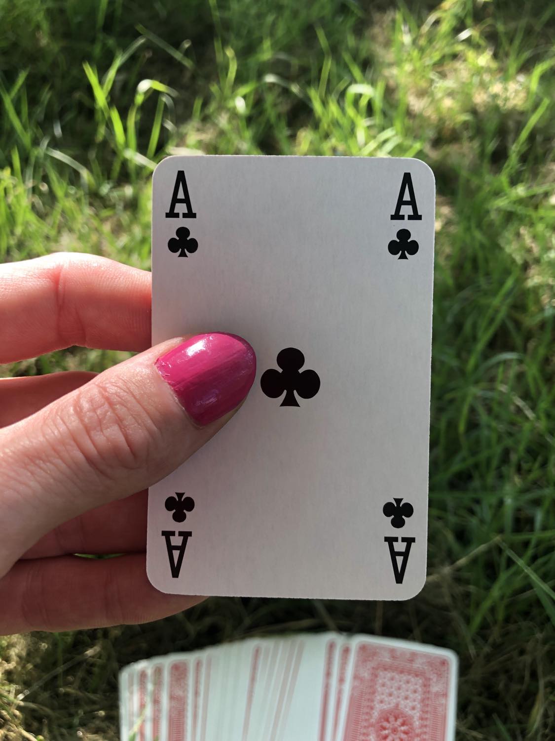 The ace of clubs, held up from the drawn out cards.
