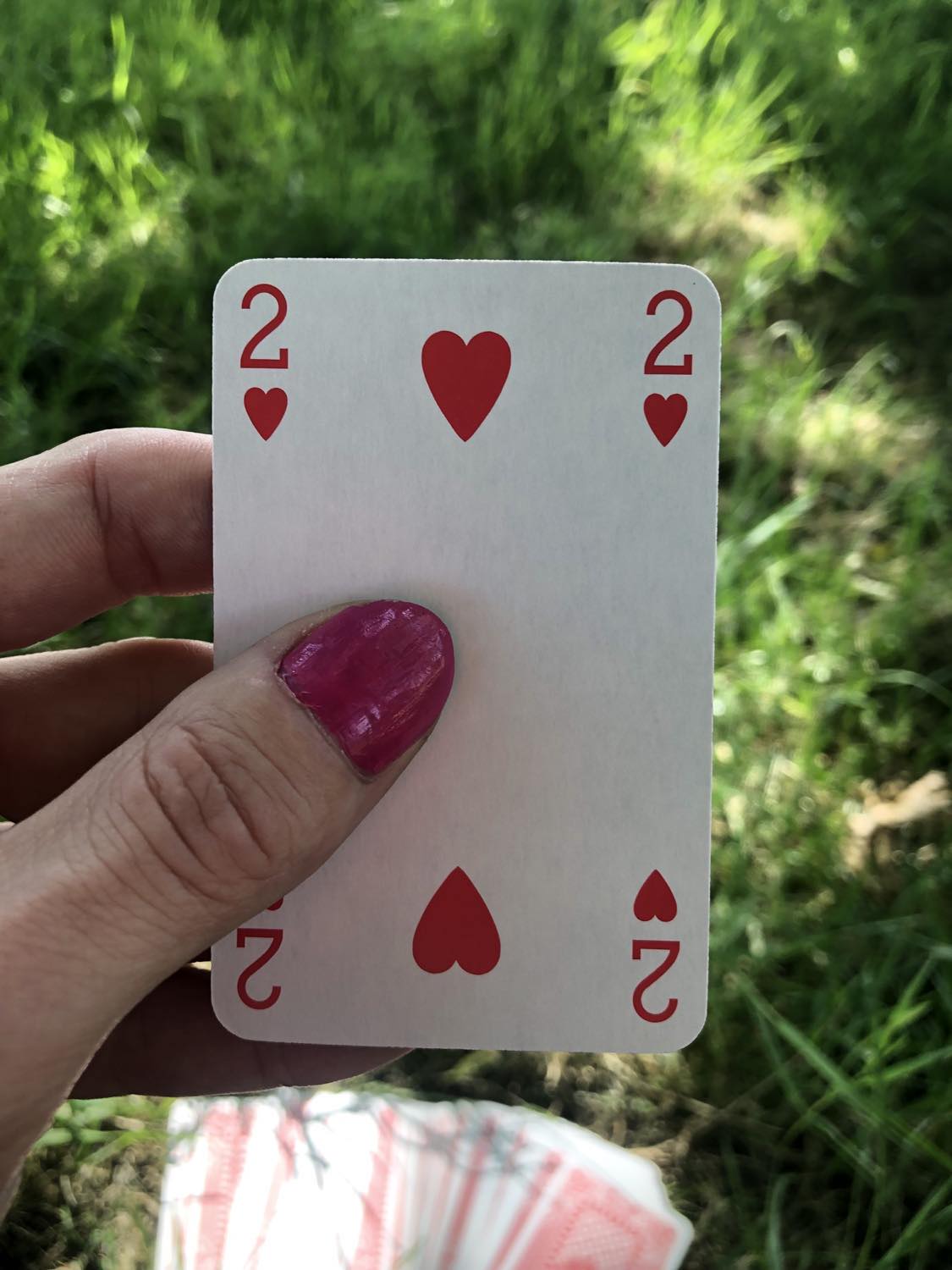 The two of hearts, held up from the drawn out cards.