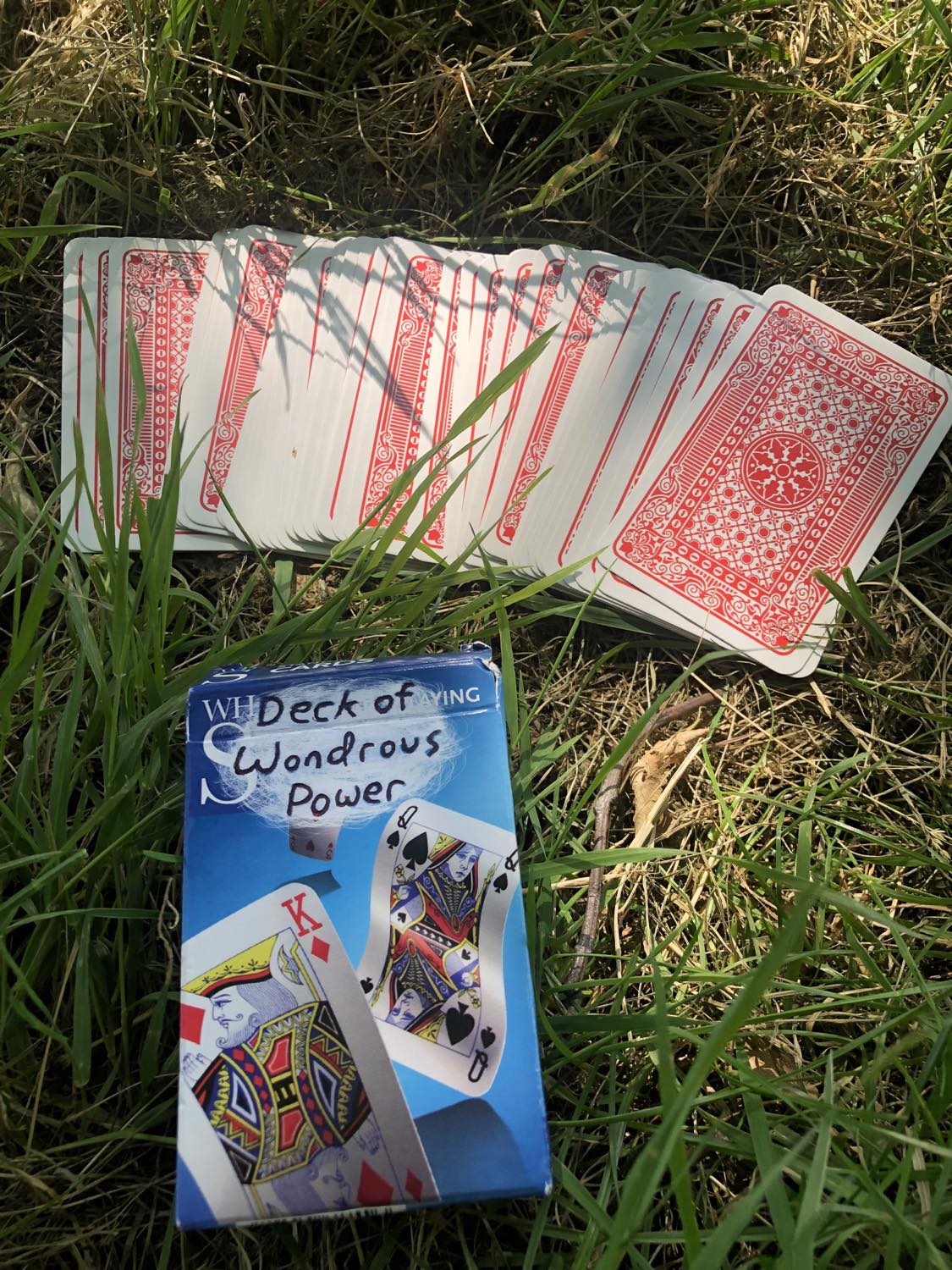 The cards all drawn out, the box for the deck of wondrous power open on the grass, do you wish to draw?