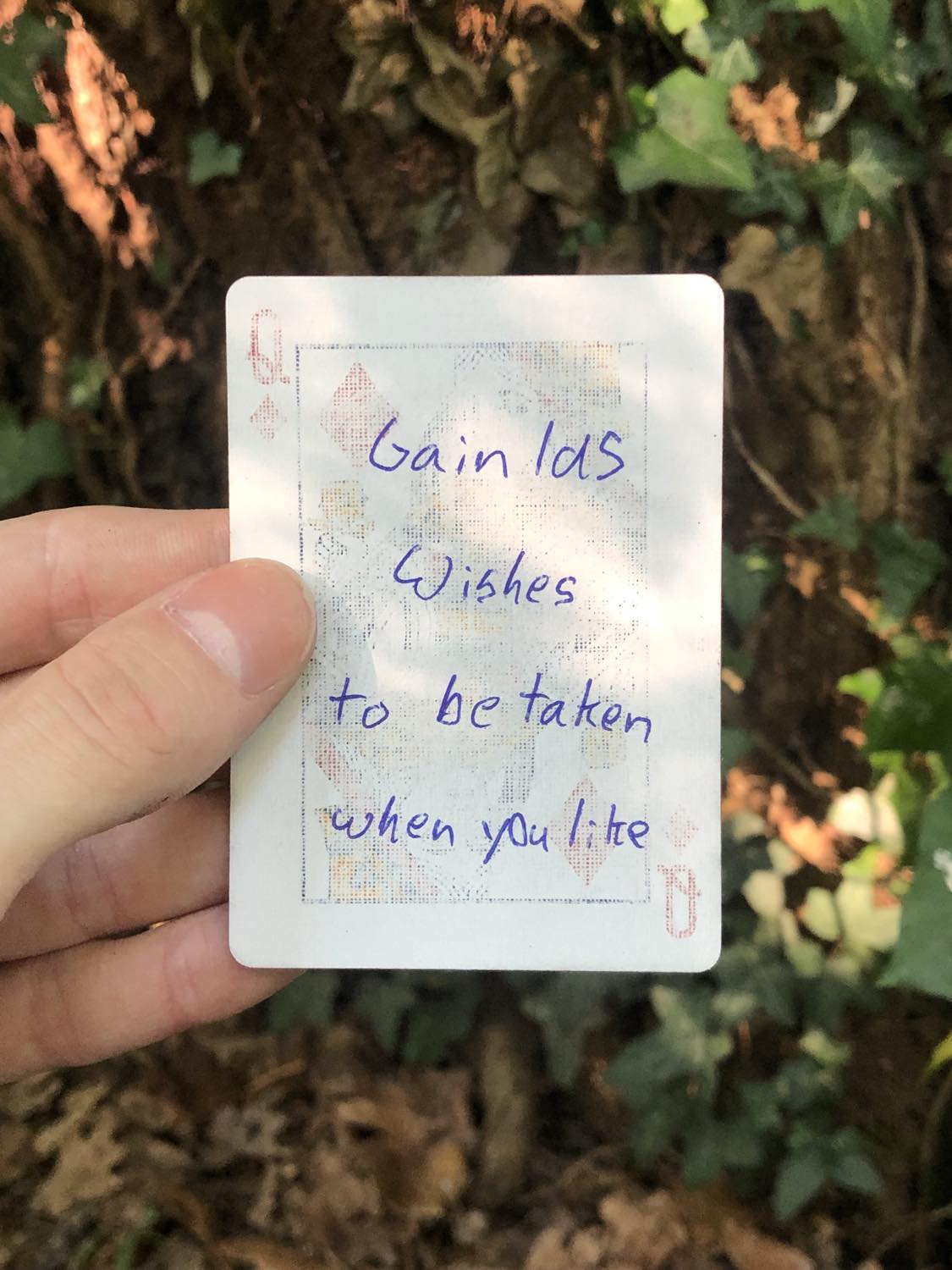 The queen of diamonds, held above the detritus on the ground. Gain 1d5 wishes to be taken when you like.