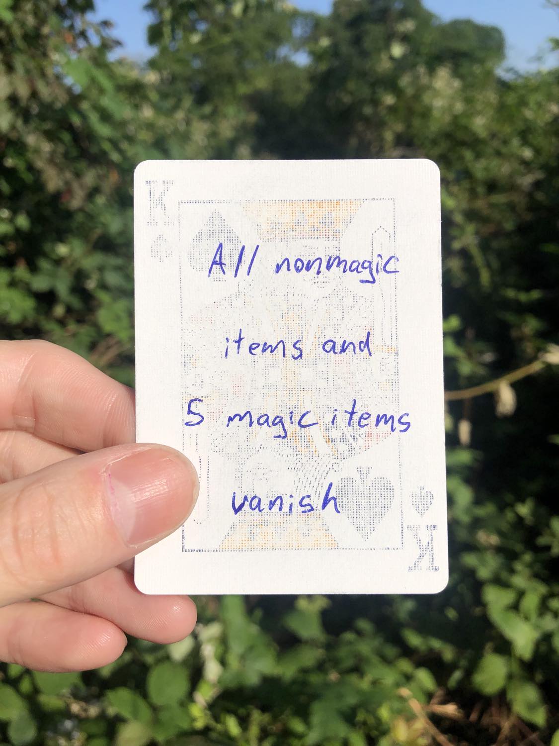 The king of spades, held with the trees and foliage behind. All nonmagic items and 5 magic items vanish.